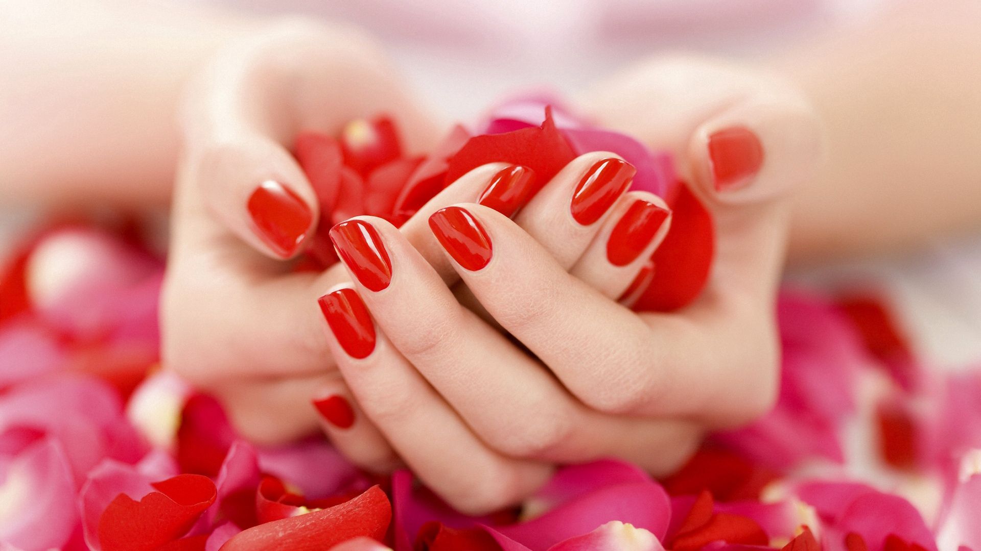 hand, petals, rose, manicure, mood