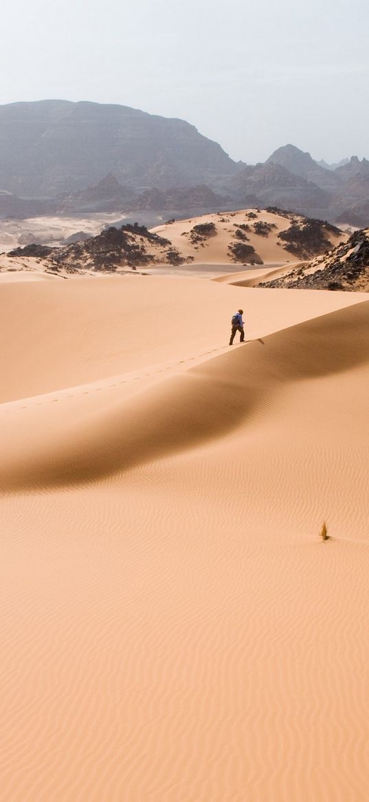 desert, sand, heat, person, traveler