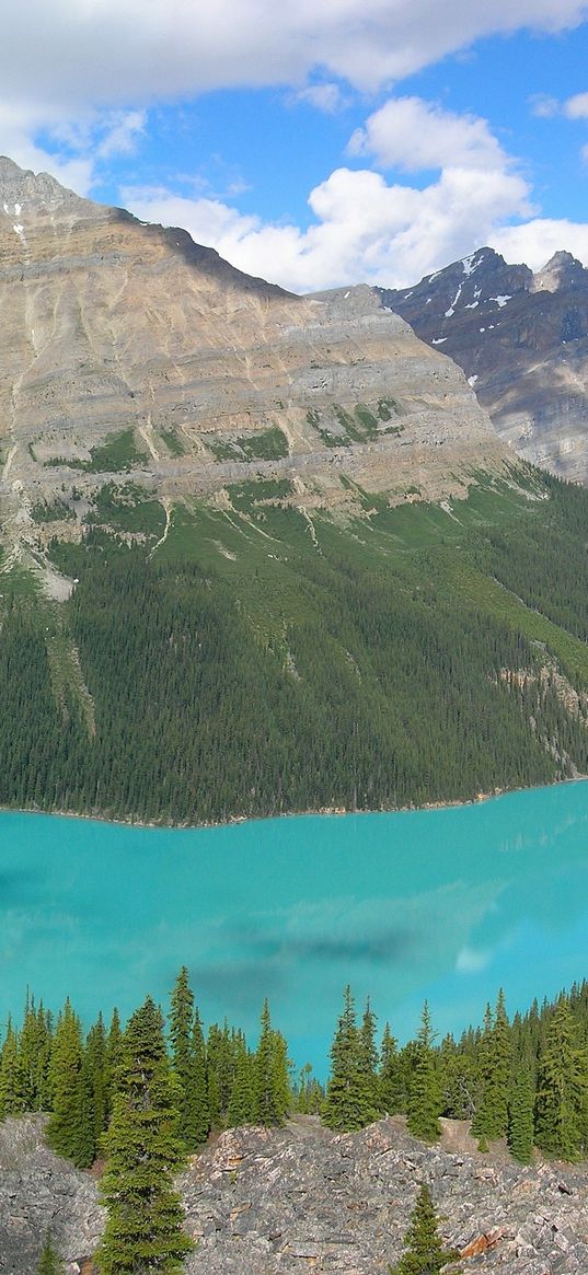 mountains, lake, blue water, wood, coniferous, purity, bottom