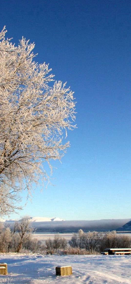 lake, coast, winter, hoarfrost