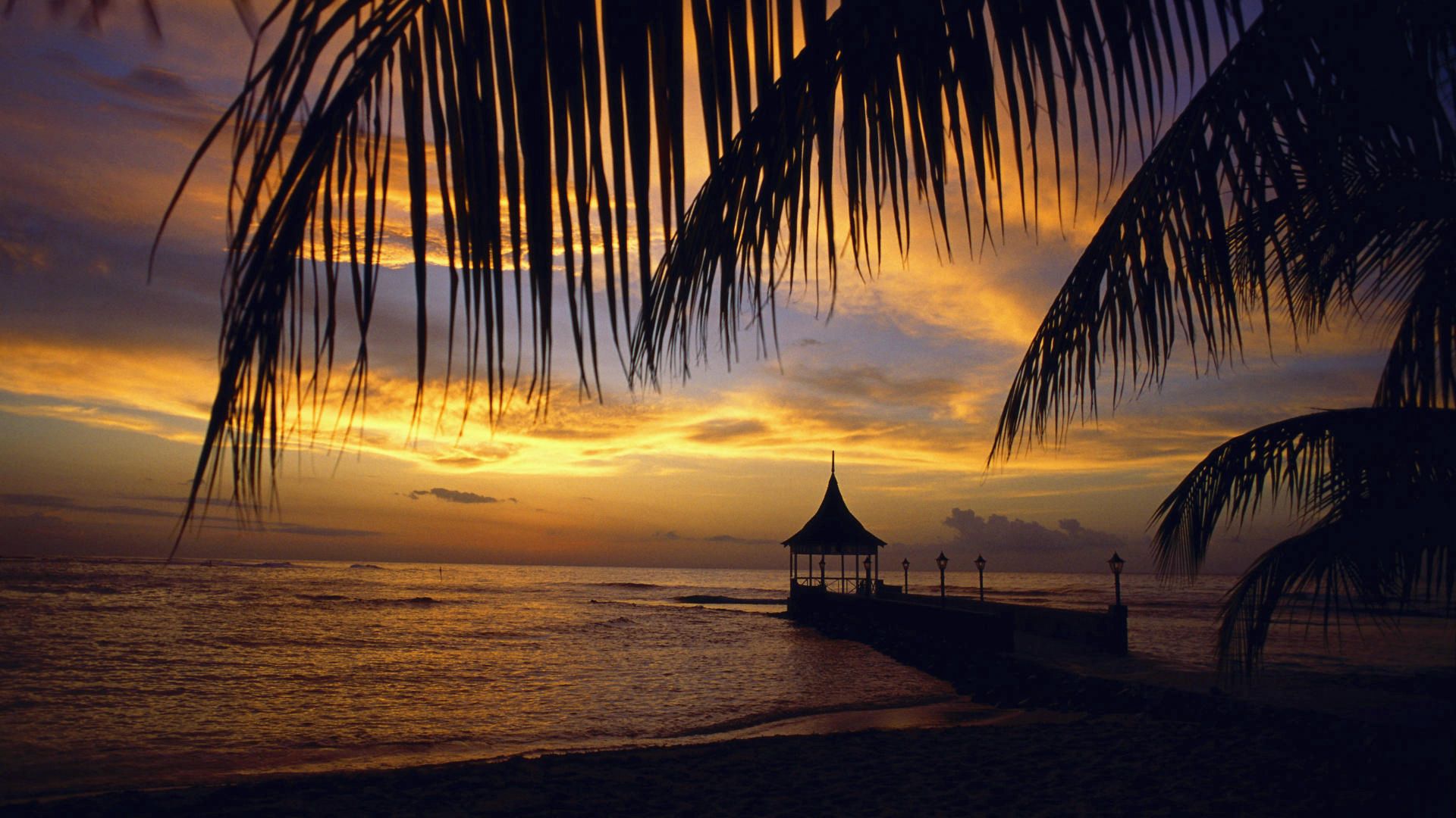 pier, arbor, palm tree, branches, evening, sea