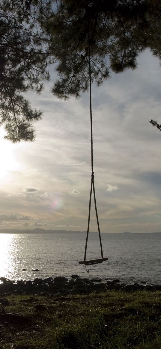 swing, tree, coast, lake