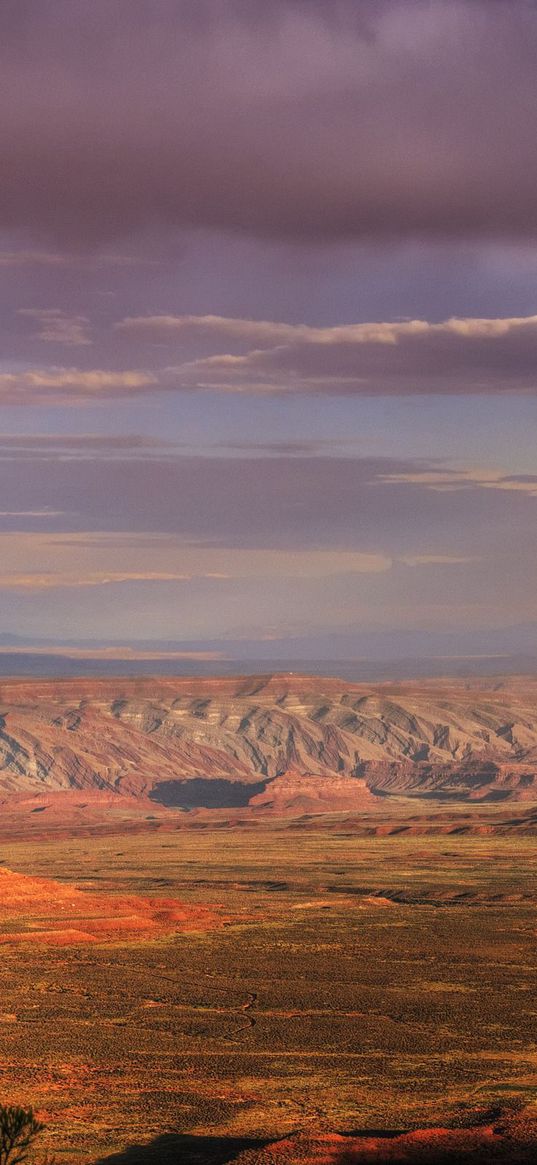 desert, rainbow, after a rain