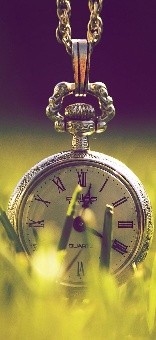 pocket watch, grass, chain, cover, design