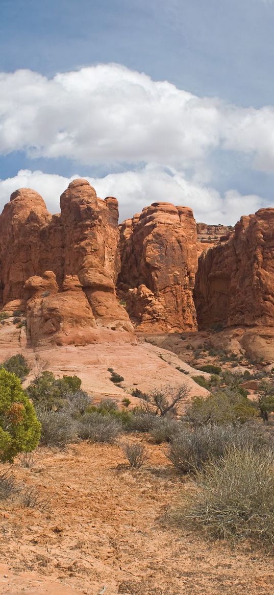 desert, canyons, bushes, vegetation