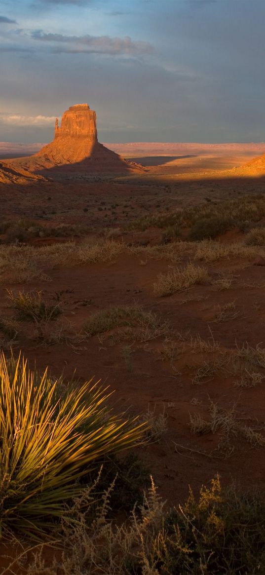 desert, evening, vegetation, shade, canyons