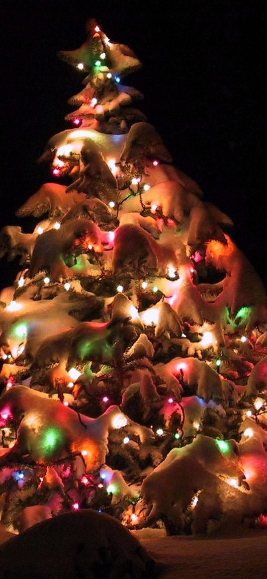 christmas tree, garland, snow, street, holiday, christmas, night