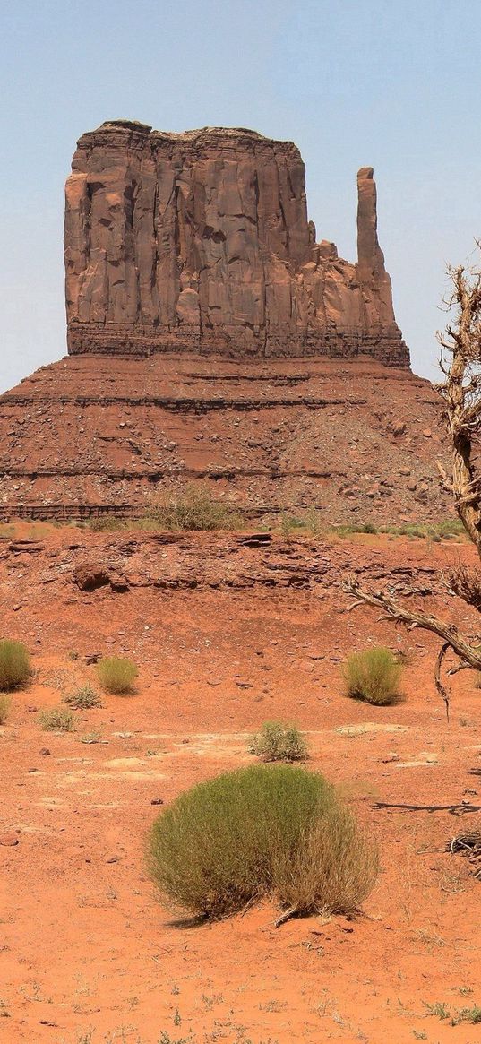 desert, canyon, vegetation, drought