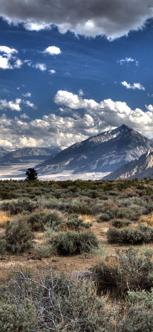 desert, vegetation, mountains, clouds