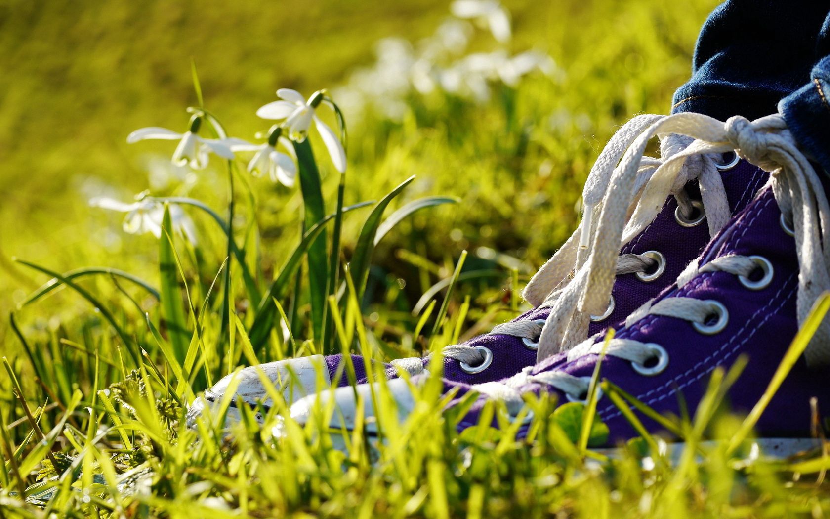 sneakers, grass, flowers, legs