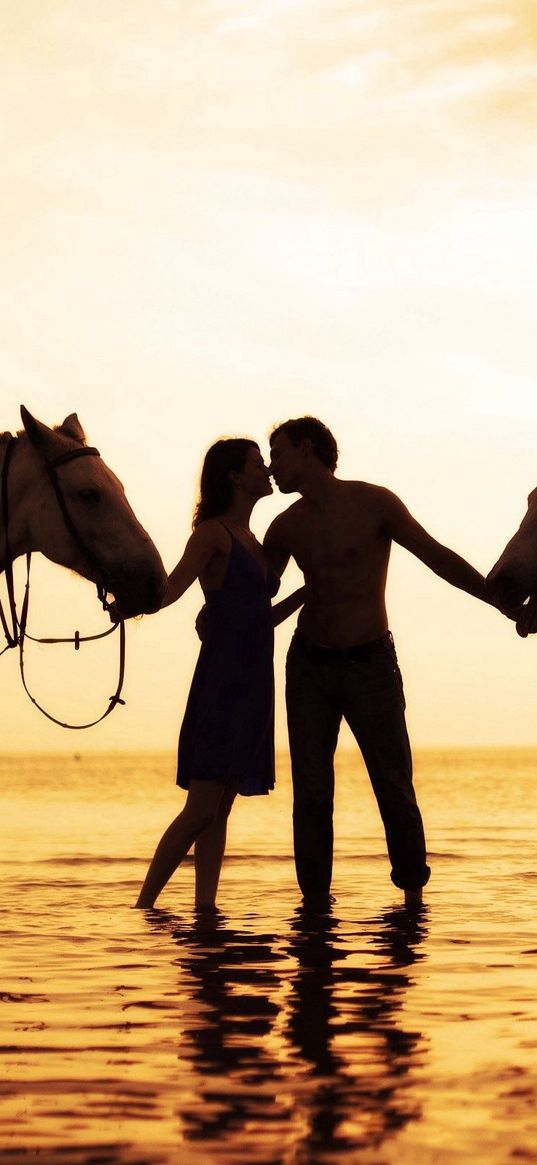 couple, sunset, sea, tenderness, horses, romance