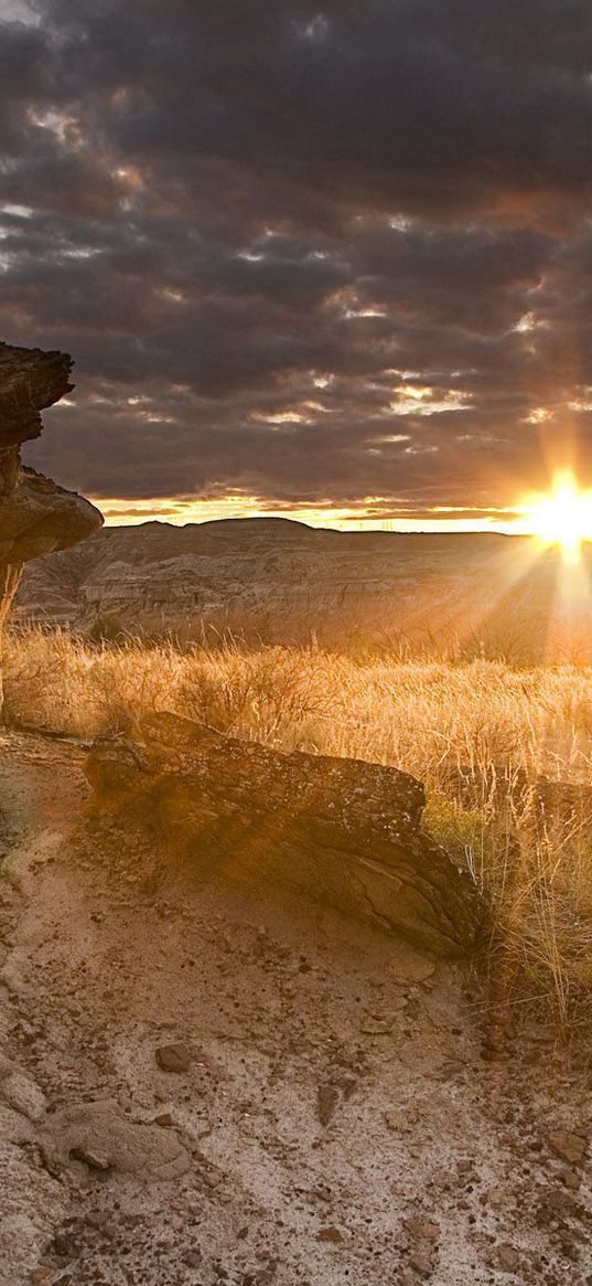 desert, decline, evening, canyon, stones