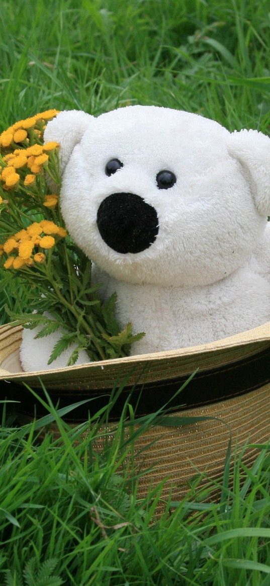 teddy bear, hat, grass, flowers, gift