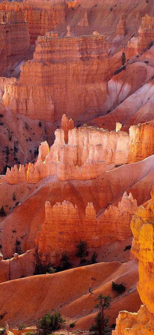 canyons, desert, trees