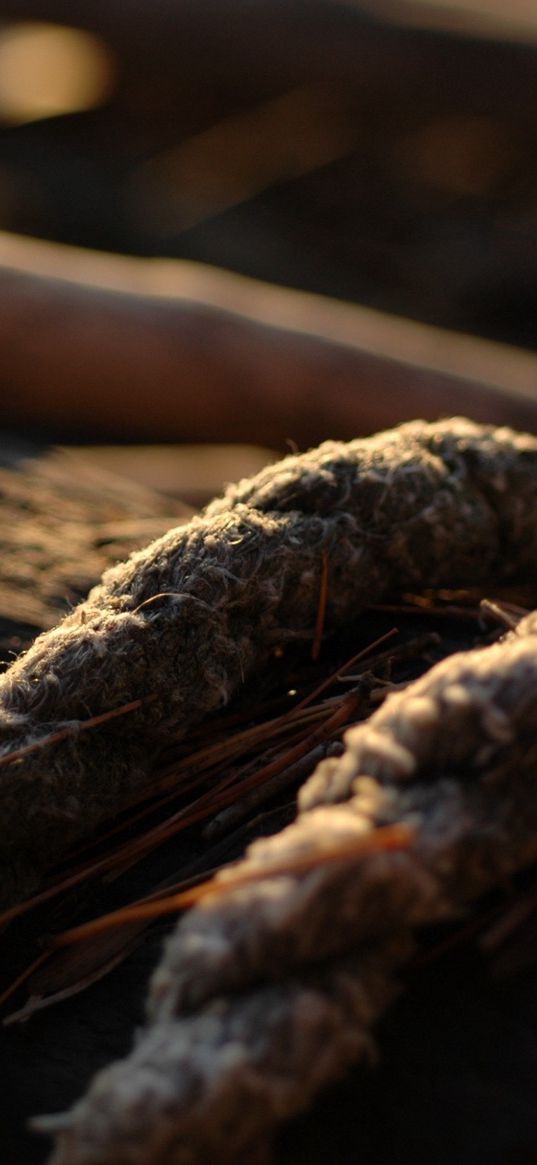 rope, close-up, grass, dirt