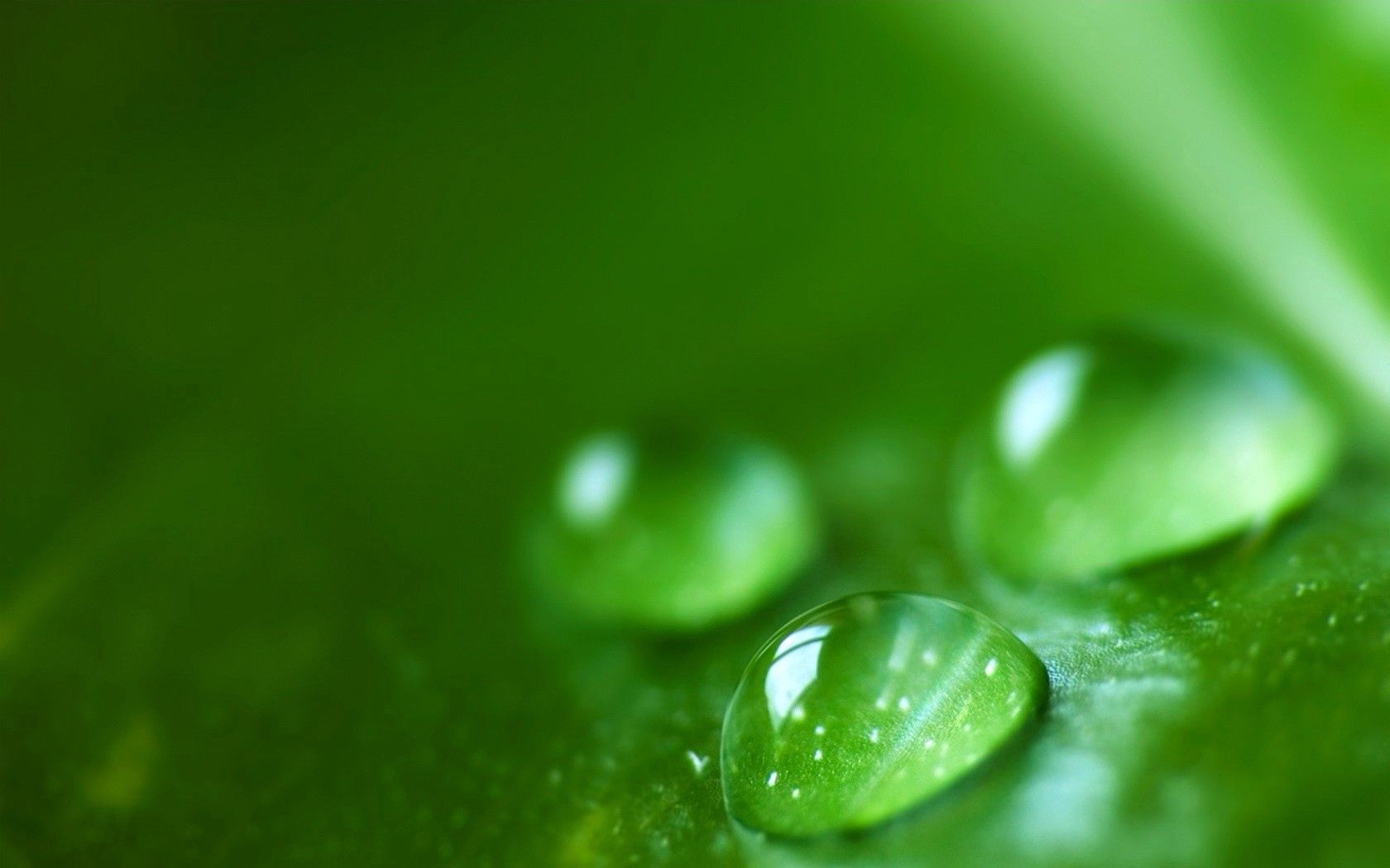 drops, dew, surface, size