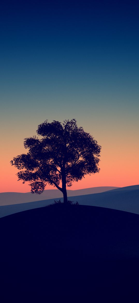 tree, hill, sunset, sky, nature