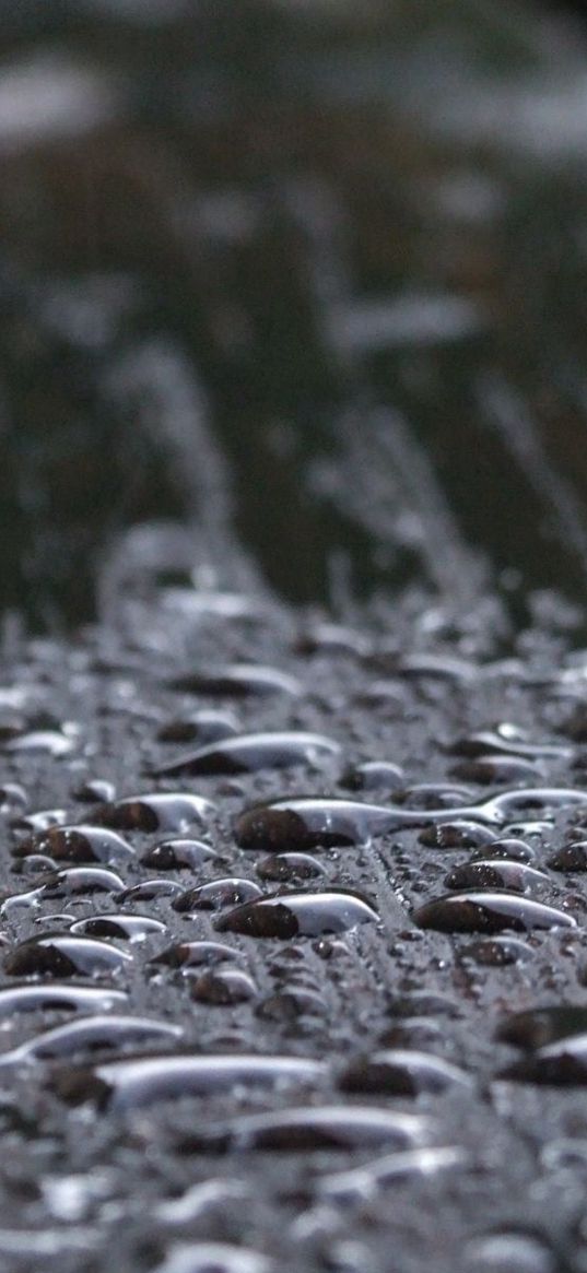 surface, wooden, drops, wet