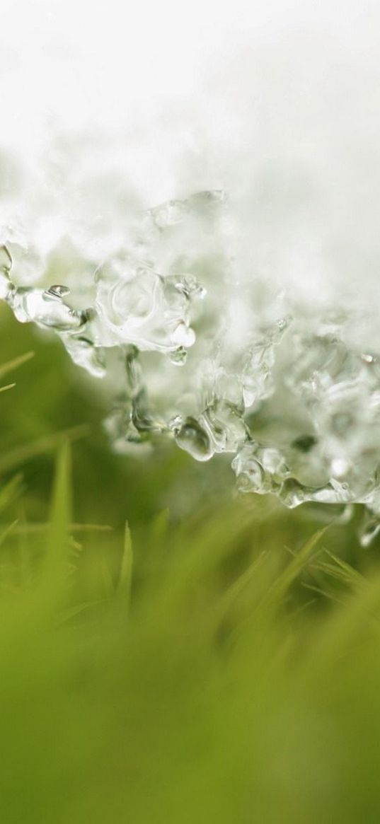 snow, grass, layer, ice