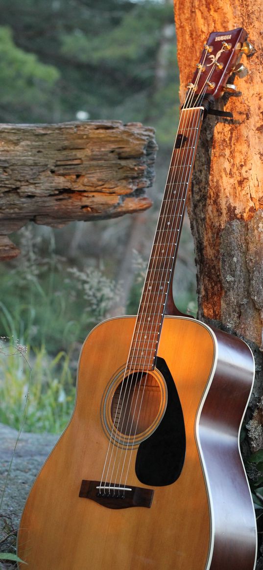 guitar, strings, tree, music