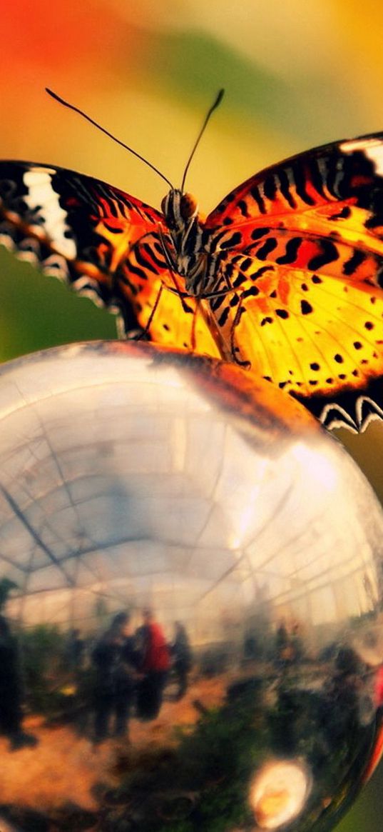 butterfly, ball, metal, wings, flashing