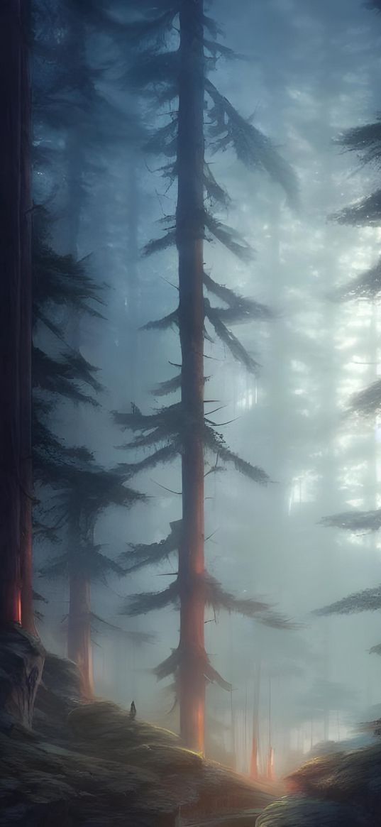 tree, fog, spruce, forest