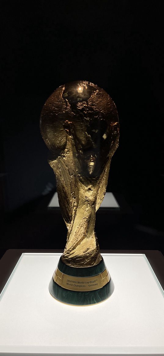 cup, award, world cup 2014, stand