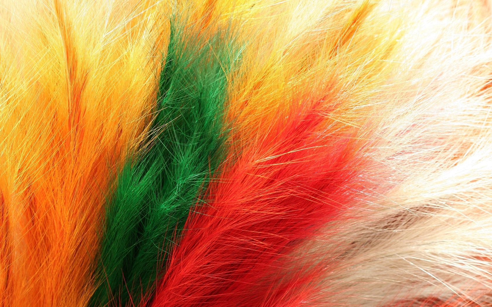 feathers, fur, colorful