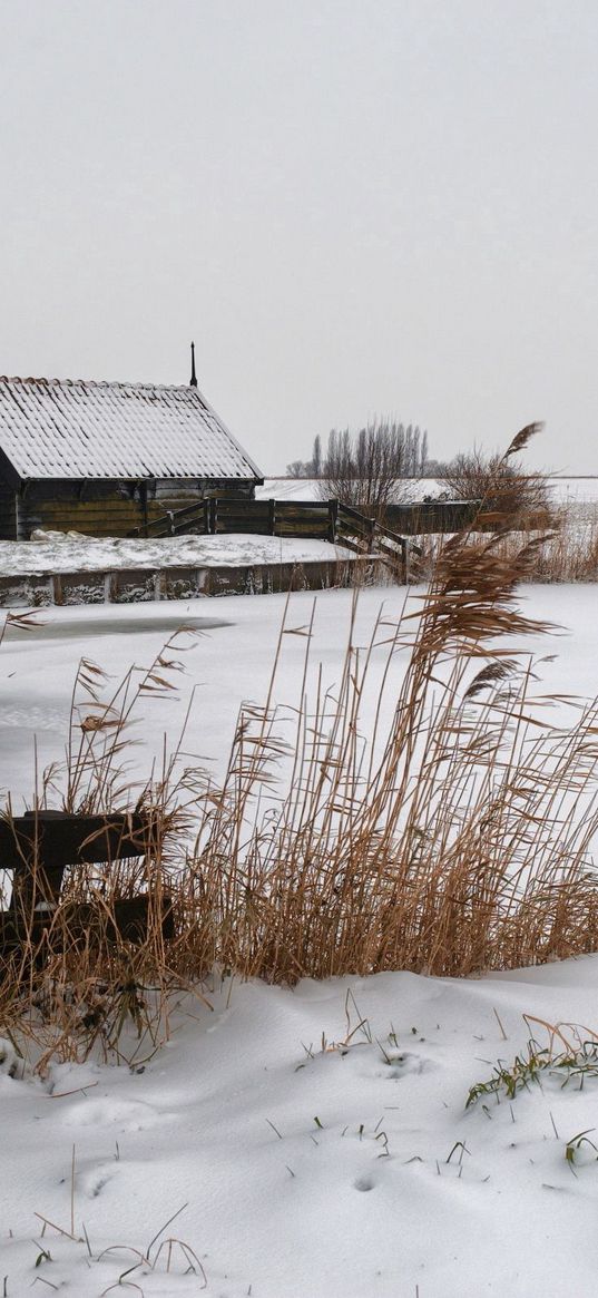 snow, mill, village, cold, farm, house, ears