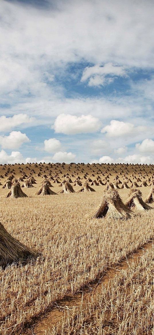 hay, sheaves, crop, cleaning, agriculture, field