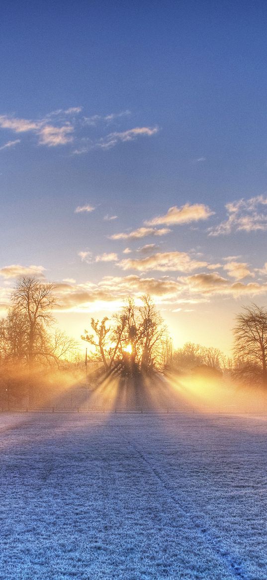 sun, beams, field, football, gate, hoarfrost, frosts