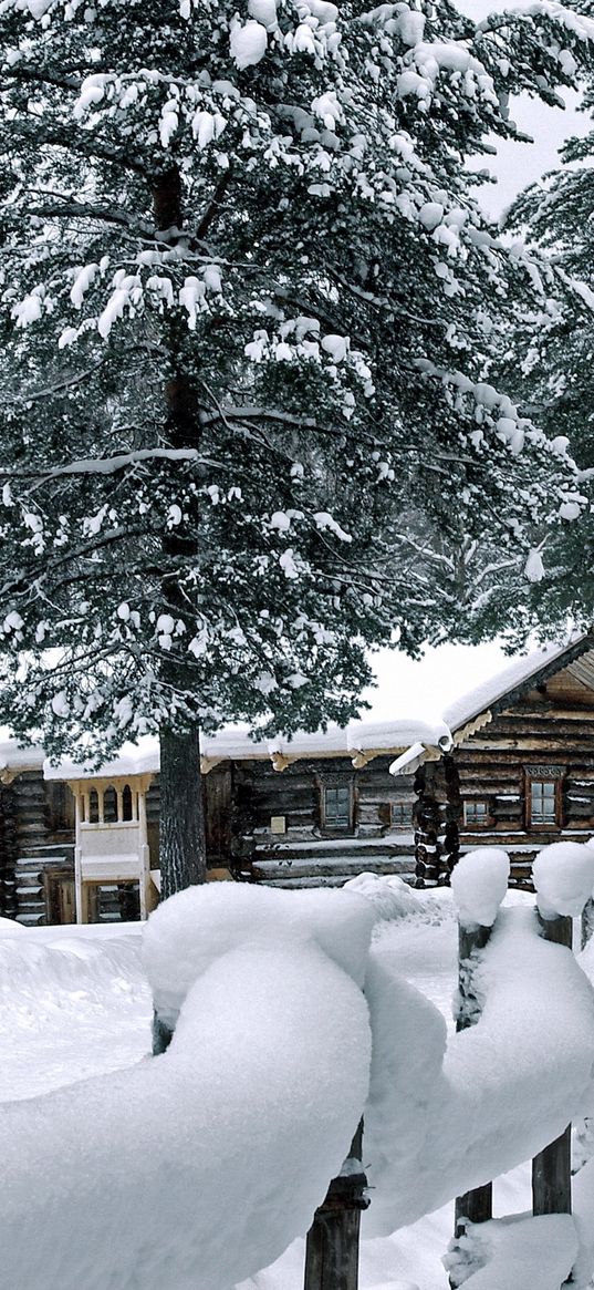 fence, snow, snowdrifts, attire, pines, house, log hut, construction