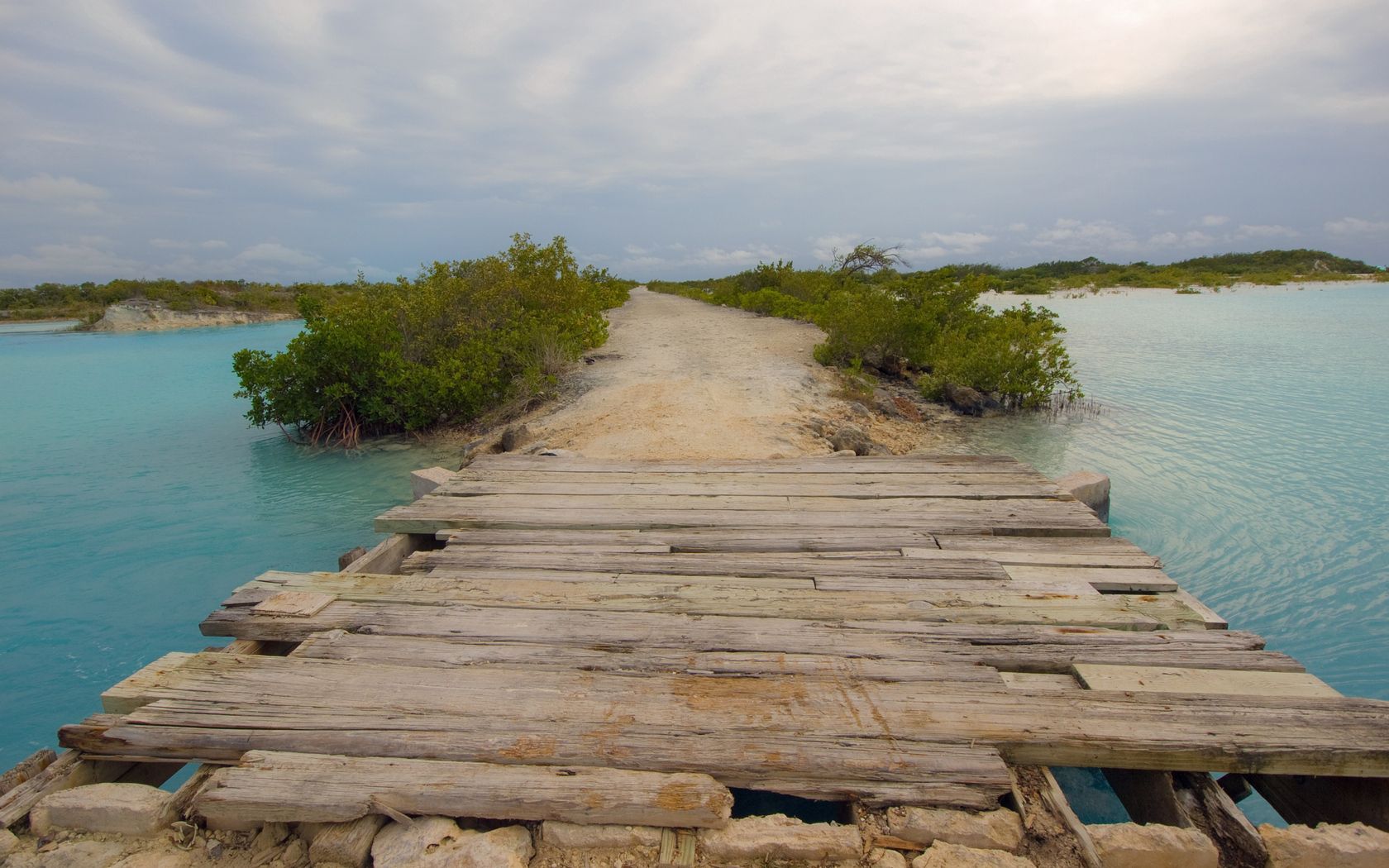 bridge, river, path, boards, flooring, bushes, crossing