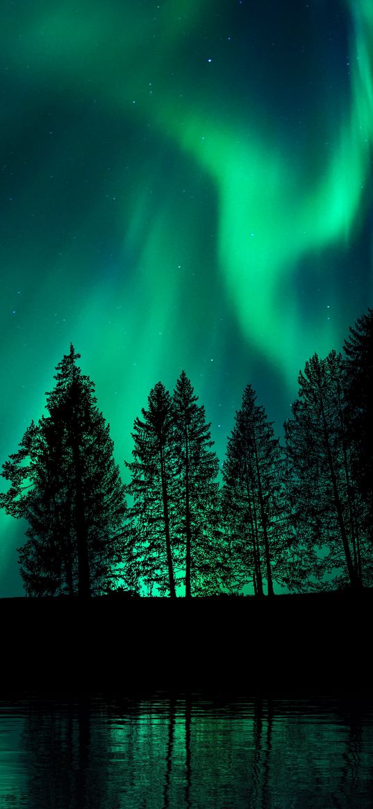 trees, lake, reflection, northern lights, night, green