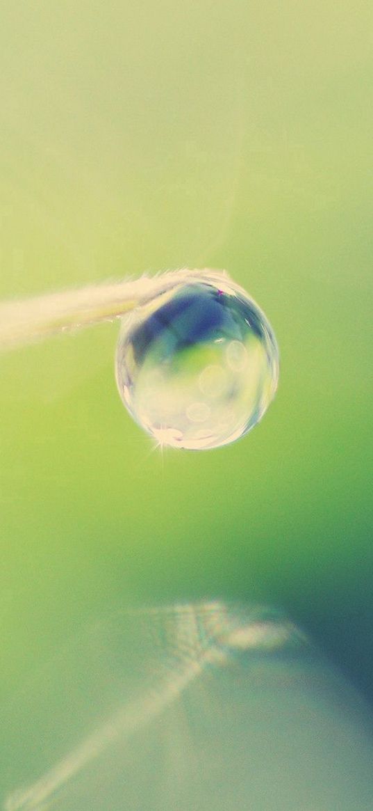 straw, grass, light, background