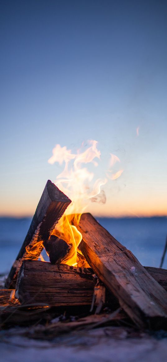 bonfire, logs, fire, nature