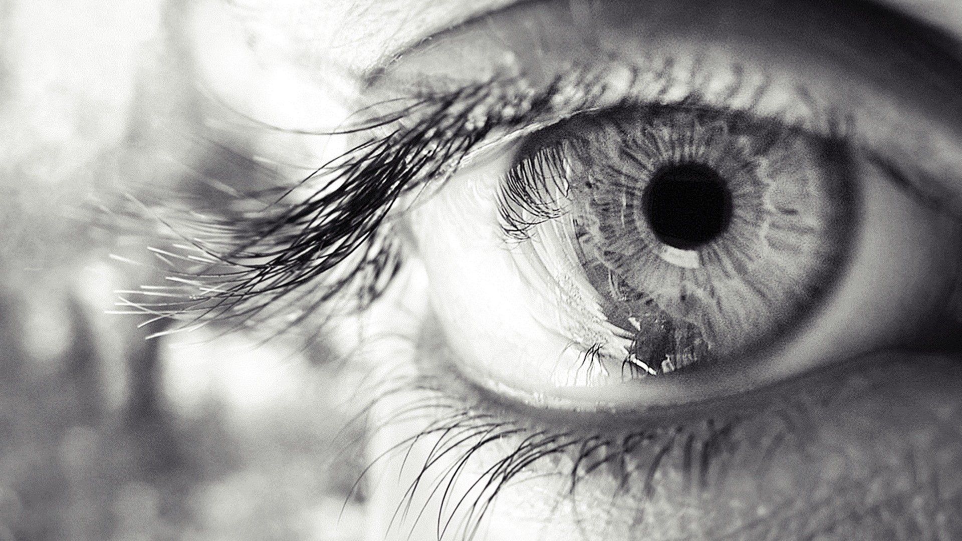 eye, eyelashes, pupil, black and white