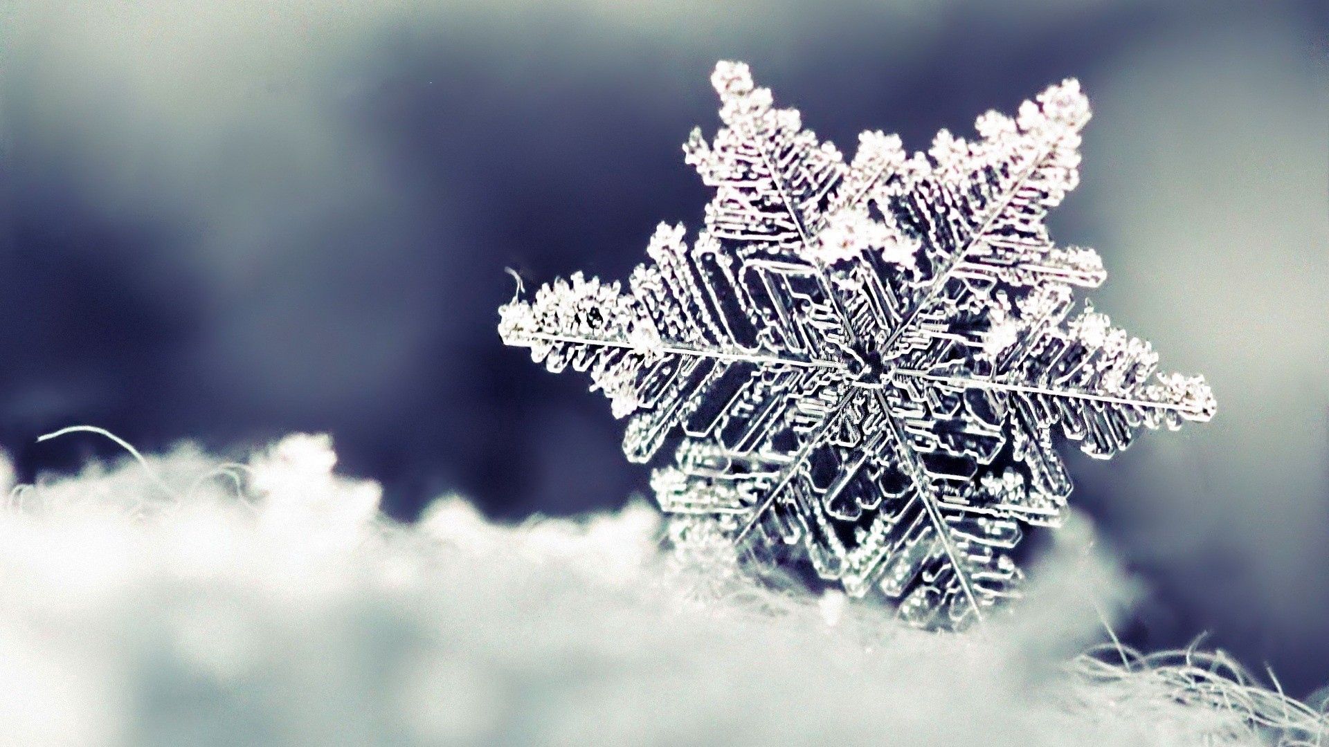 snowflake, snow, shape, pattern