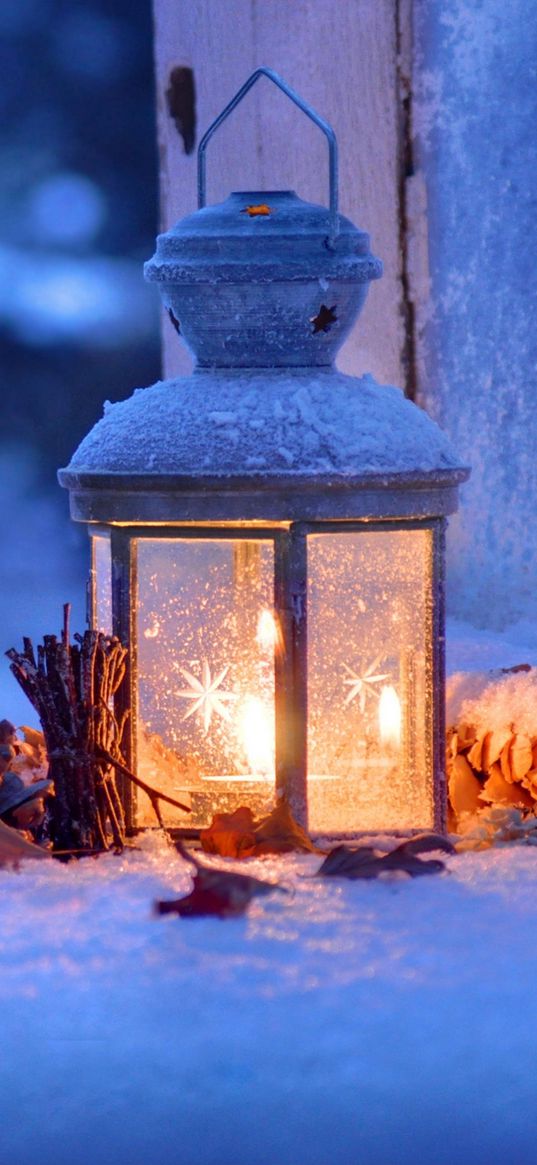 lantern, candle, cones, leaves, snow, winter, christmas decoration, new year, christmas, holiday