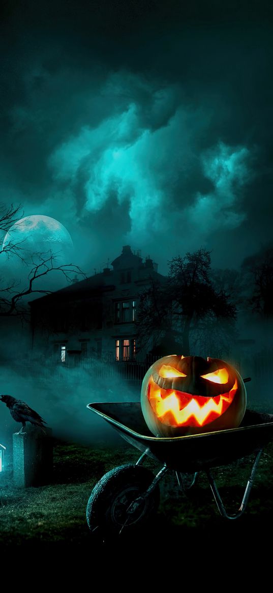 wheelbarrow, pumpkin, lantern, crow, house, night, halloween