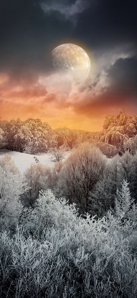 trees, snow, winter, clouds, moon, nature