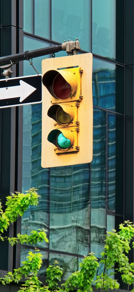 traffic light, building, reflection, branches