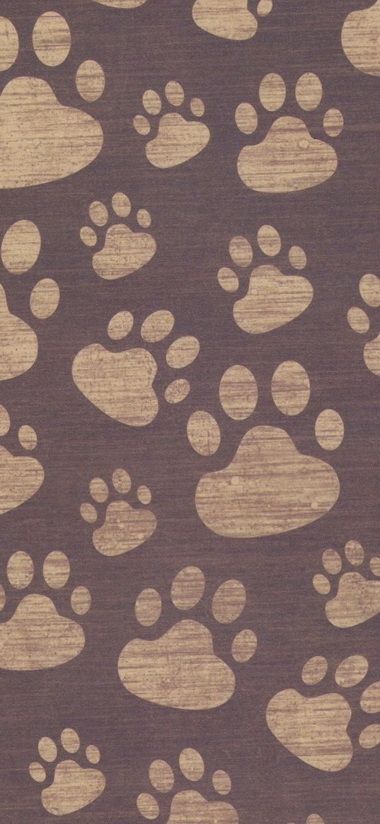 footprints, paw, surface, texture