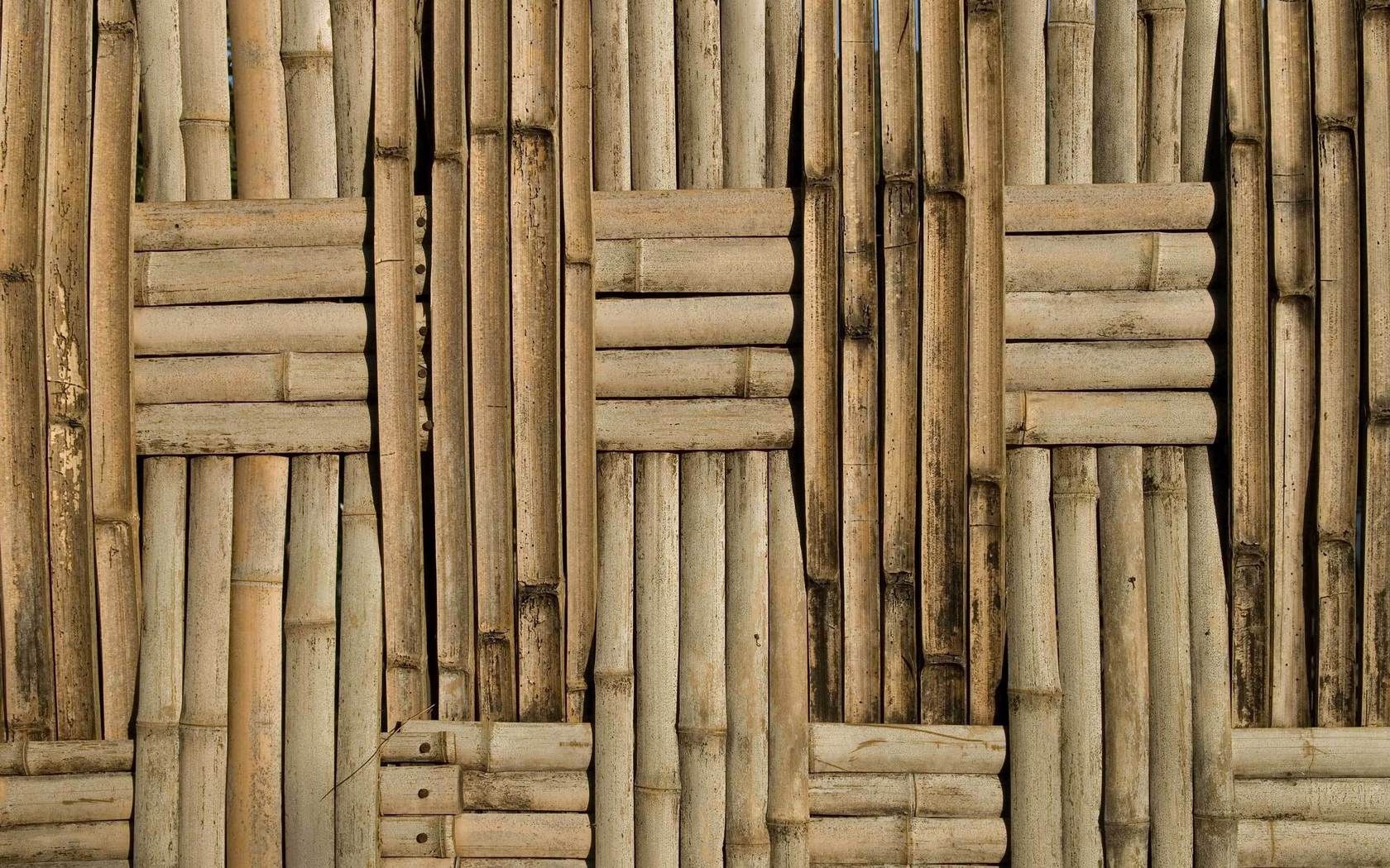 bamboo, background, surface, board