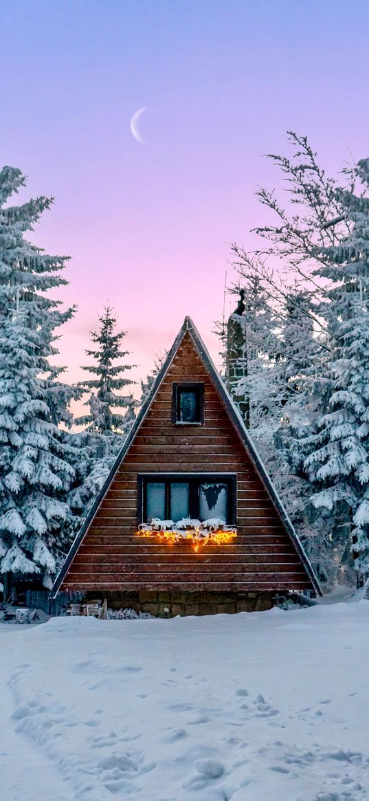 house, christmas trees, forest, snow, winter, garland, moon, sky