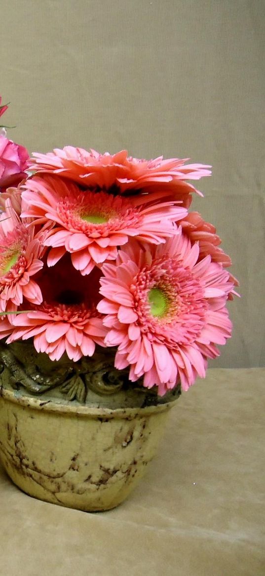 calla lilies, roses, gerberas, flowers, vases, bouquets