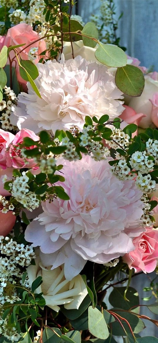 peonies, roses, tea tree, branch, bunch