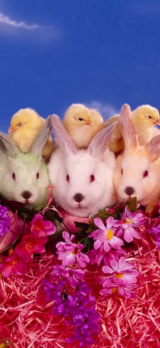 rabbits, chickens, flowers, lots of