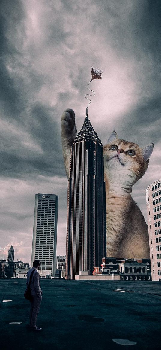 man, kitten, huge, skyscraper, buildings, houses, city, clouds, sky, fiction, art