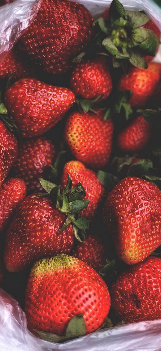 strawberries, berries, package, red, summer